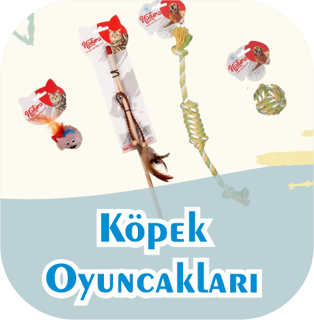 Köpek Oyuncakları