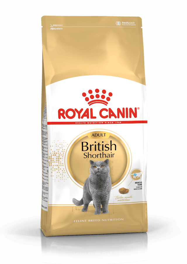 Royal%20Canin%20British%20Shorthair%20Yetişkin%20Kedi%20Maması%202%20Kg