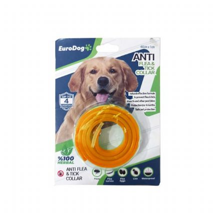 Köpek%20Tasması%2060%20cm%20Turuncu