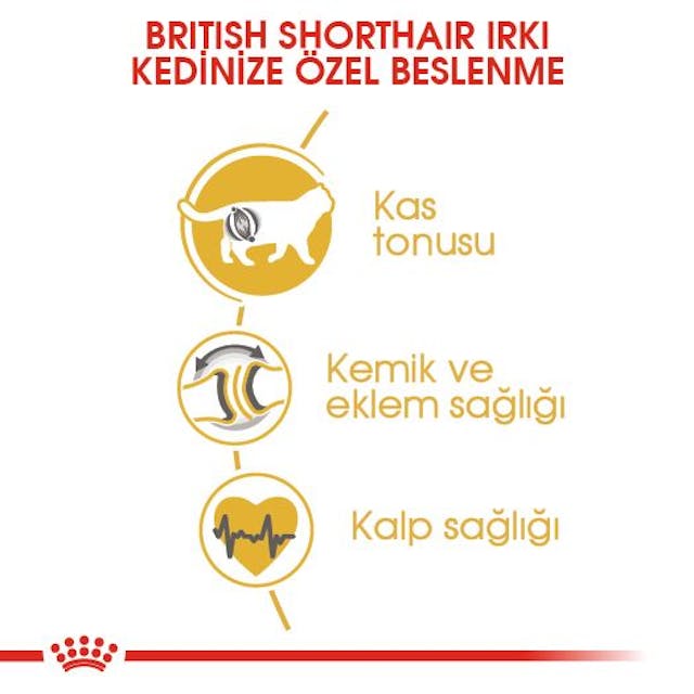 Royal%20Canin%20British%20Shorthair%20Yetişkin%20Kedi%20Maması%202%20Kg