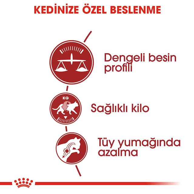 Royal%20Canin%20Fit%2032%20Yetişkin%20Kuru%20Kedi%20Maması