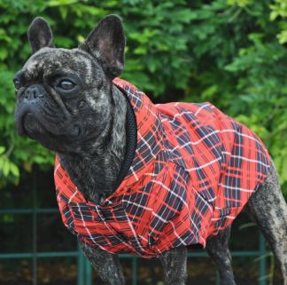 Dogness Red Model Kapüşonlu Köpek Yağmurluğu