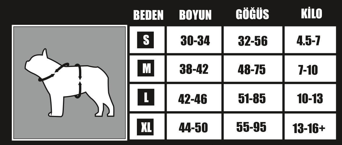 Rockstar%20Model%20Kapüşonlu%20Köpek%20Yağmurluğu